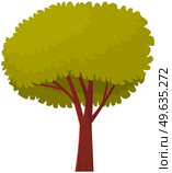 Tall tree with brown trunk and leaves. Large plant with dense round crown isolated on white background. Green foliage on plant branches, natural element object for design, cartoon botanic icon. Tall tree with brown thick trunk and leaves. Large plant with dense round crown isolated on white. Стоковая иллюстрация, агентство Ingram Publishing / Фотобанк Лори