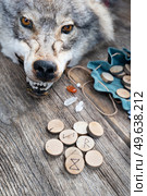 Handmade runes for fortunetelling with wolf head in background. Handmade runes for fortunetelling. Стоковое фото, агентство Ingram Publishing / Фотобанк Лори