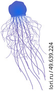 Transparent jelly-like animal with long tentacles. Blue jellyfish, marine life representative isolated on white background. Floating sea jellyfish with tentacles. Marine underwater world concept. Transparent jelly-like animal with long tentacles. Blue jellyfish, marine life representative. Стоковая иллюстрация, агентство Ingram Publishing / Фотобанк Лори