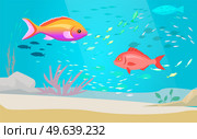 Underwater ocean fauna with exotic fishes. Ocean bottom with marine life reprsentatives. Marine underwater world with school of tropical fish. Seascape, undersea landscape vector illustration. Underwater ocean world with exotic fishes. Ocean bottom with marine life, school of tropical fish. Стоковая иллюстрация, агентство Ingram Publishing / Фотобанк Лори