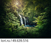 Upper Waikani Falls or Three Bears Waterfalls, the Road to Hana in Hawaii. Cascade in the jungle among tropical green vegetation. Wonderful scene in hawaiian dense rainforest with mixed fern plants. Стоковое фото, агентство Ingram Publishing / Фотобанк Лори