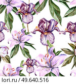 Watercolor pattern with flowers  iris, peonies and lilies, buds and petals. Illustration. Watercolor pattern with flowers  iris, peonies and lilies, buds and petals. Стоковое фото, агентство Ingram Publishing / Фотобанк Лори