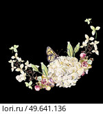 Beautiful watercolor wreath with hydrangea flowers. saskatoon berries. Illustrations.. Beautiful watercolor wreath with hydrangea flowers. saskatoon berries. . Стоковое фото, агентство Ingram Publishing / Фотобанк Лори