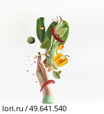 Flying vegetarian food ingredients with women hand at white background. Bok choi, mushrooms, bell pepper, chili pepper, broccoli and lime levitating. Healthy eating concept. Front view. Стоковое фото, агентство Ingram Publishing / Фотобанк Лори