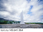 Large geyser on Iceland surrounded by lava cliffs and green trees in cloudy weather. Стоковое фото, агентство Ingram Publishing / Фотобанк Лори