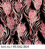Watercolor wedding pink tropical seamless pattern with Exotic flowers protea and palm leaves. Illustration. Watercolor wedding pink tropical seamless pattern with Exotic flowers protea and palm leaves. . Стоковое фото, агентство Ingram Publishing / Фотобанк Лори