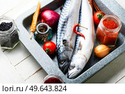 Raw mackerel fish and spices on the kitchen table. Uncooked fish. Fresh, raw mackerel fish. Стоковое фото, агентство Ingram Publishing / Фотобанк Лори