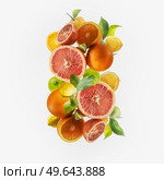 Flying various citrus fruits setting with green leaves at white background. Grapefruit, lemon, orange and lime flying in the air. Levitation. Healthy food concept. Стоковое фото, агентство Ingram Publishing / Фотобанк Лори