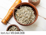 Alternative medicine, medicinal herbs. Wormwood in a mortar.. Wormwood herb, medicinal raw materials. Стоковое фото, агентство Ingram Publishing / Фотобанк Лори