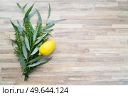 Happy Sukkot - religion image of Jewish festival of Sukkot. Traditional symbols Etrog, lulav, hadas, arava on wooden table with copy space. Happy Sukkot holiday. Стоковое фото, агентство Ingram Publishing / Фотобанк Лори