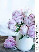 Fresh peonies flowersin vase on wooden windowsil, summer background, close up view. Fresh peonies flowers. Стоковое фото, агентство Ingram Publishing / Фотобанк Лори