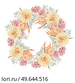 Watercolor autumn wreath with chrysanthemum flowers, leaves and berries. Illustration. Watercolor autumn wreath with chrysanthemum flowers, leaves and berries. Стоковое фото, агентство Ingram Publishing / Фотобанк Лори