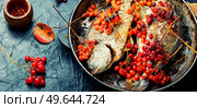 Grilled dorado with autumn berries. Fried fish with viburnum.. Baked fish in viburnum syrup. Стоковое фото, агентство Ingram Publishing / Фотобанк Лори