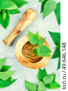 Fresh nettle bunch and mortar on light background. Bush of stinging-nettles. Fresh nettle leaves,herbal medicine. Стоковое фото, агентство Ingram Publishing / Фотобанк Лори
