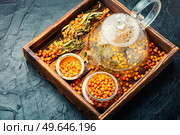 Healthy autumn beverage, tea with fresh sea buckthorn berries. Vitamin tea with sea buckthorn. Стоковое фото, агентство Ingram Publishing / Фотобанк Лори