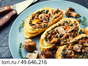 Baked closed mushroom pie, sliced mushroom champignons pie. Wellington tart. Homemade mushroom pie. Стоковое фото, агентство Ingram Publishing / Фотобанк Лори