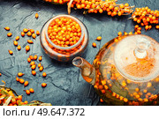 Fragrant autumn tea, tea with fresh sea buckthorn. Berry drink. Beverage with sea buckthorn, healthy drink. Стоковое фото, агентство Ingram Publishing / Фотобанк Лори