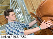 Stable hand smoothing horse's head. Стоковое фото, агентство Ingram Publishing / Фотобанк Лори