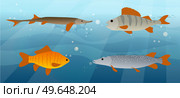 Underwater ocean fauna with fishes, seaweed and shells on sand. Ocean bottom with marine life reprsentatives. Marine underwater world with exotic fishes. Bright tropical fish floating on seabed. Tropical fish floating on seabed. Ocean bottom, underwater world with marine life reprsentatives. Стоковая иллюстрация, агентство Ingram Publishing / Фотобанк Лори