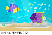 Underwater ocean fauna with exotic fishes. Ocean bottom with marine life reprsentatives. Marine underwater world with school of tropical fish. Seascape, undersea landscape vector illustration. Underwater ocean world with exotic fishes. Ocean bottom with marine life, school of tropical fish. Стоковая иллюстрация, агентство Ingram Publishing / Фотобанк Лори