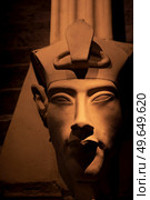 bust of pharaoh Echnaton (Akhenaten, aka Amenhotep IV) around black background . cloes up. Стоковое фото, агентство Ingram Publishing / Фотобанк Лори