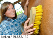 Woman brushing side of horse. Стоковое фото, агентство Ingram Publishing / Фотобанк Лори