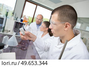 students and doctoral supervisor scientist observing. Стоковое фото, агентство Ingram Publishing / Фотобанк Лори