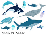 Marine life set. Wild nature of world ocean, fish, animals and molluscs. Underwater animal life. Ocean banner with jellyfish, fish, shark, turtle, seahorse and swordfish. Isolated nautical characters. Marine life set. Wild nature of world ocean, fish, animals and molluscs. Underwater animal life. Стоковая иллюстрация, агентство Ingram Publishing / Фотобанк Лори