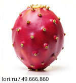 Close Up of Red Prickly Pear on White Background. Generative AI. Стоковое AI-изображение, AI-художник Roman Zavorotny / Фотобанк Лори