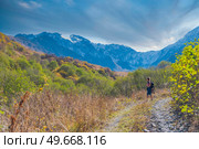 girl in the track in the mountains. Caucasus mountains in autumn. . Стоковое фото, агентство Ingram Publishing / Фотобанк Лори