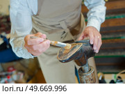 Cobbler painting glue on to sole of shoe. Стоковое фото, агентство Ingram Publishing / Фотобанк Лори