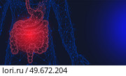 Polygonal stomach and intestines. Medical research of internal organs, innovative approach concept. Human digestive system illustration. Modern depiction of organs for digesting and assimilating food. Polygonal stomach and intestines. Modern depiction of digestive system organs for digesting food. Стоковая иллюстрация, агентство Ingram Publishing / Фотобанк Лори