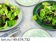 Green fresh salad with arugula, spinach, purple lettuce and chard. Vegetarian vegan food, lettuce. Fresh light green salad. Стоковое фото, агентство Ingram Publishing / Фотобанк Лори