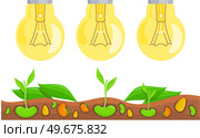 Electric LEDs and incandescent lamps or energy-saving lighting fixtures. Electrical appliances for creating light in garden. Plant lighting for increased yields. Light bulbs above plants and flowers. Electrical appliances for creating light in market garden. Plant lighting for increased yields. Стоковая иллюстрация, агентство Ingram Publishing / Фотобанк Лори