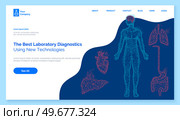 Medical app. Polygonal human organs made lines and dots. Medical research of human body, innovative approach concept. Anatomy, diagnostics of body systems. Brain, kidney, liver, lung, stomach, heart. Medical app. Polygonal human organs made lines and dots. Medical research of human body, innovative approach. Стоковая иллюстрация, агентство Ingram Publishing / Фотобанк Лори
