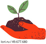 Hand holding green plant, element of eco design. Piece of soil with seedling of new tree. Green sprout planted in ground. Caring for nature and ecology concept. Greening, tree growing process. Hand holding green plant, element of eco design. Green sprout, seedling of tree planted in ground. Стоковая иллюстрация, агентство Ingram Publishing / Фотобанк Лори