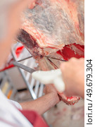 a butcher is calving beef. Стоковое фото, агентство Ingram Publishing / Фотобанк Лори