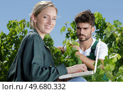 happy young woman working in a wineyard. Стоковое фото, агентство Ingram Publishing / Фотобанк Лори