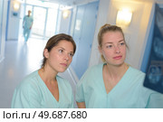 Nurses analysing xrays. Стоковое фото, агентство Ingram Publishing / Фотобанк Лори