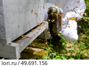 close up of the beehive. Стоковое фото, агентство Ingram Publishing / Фотобанк Лори