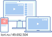Remote broadcast program for computer. Internet video live communication with followers and subscribers. Website for blogging, streaming online. Video recording live broadcast, stream, vlog on screen. Video recording live broadcast, stream, vlog on screen. Internet communication with followers app. Стоковая иллюстрация, агентство Ingram Publishing / Фотобанк Лори
