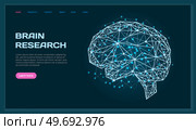 Polygonal human brain made of lines and dots. Medical research of internal organs, innovative technology in medicine concept. Organ of human central nervous system. Brain modern 3D volumetric image. Polygonal human brain, organ of central nervous system. Innovative technology in medicine concept. Стоковая иллюстрация, агентство Ingram Publishing / Фотобанк Лори