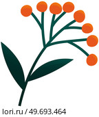 Flowering stalk of orange rape flowers. Wild field grass. Small ripe berries on branch in garden. Spring blossom element for card design. Delicate flowers with green leaves vector isolated on white. Flowering stalk of orange rape flowers. Wild field grass. Small ripe berries on branch in garden. Стоковая иллюстрация, агентство Ingram Publishing / Фотобанк Лори