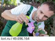 a man sprays a flower. Стоковое фото, агентство Ingram Publishing / Фотобанк Лори