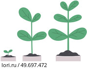 Houseplant, green sprout in white pot. Plant for experiments and research isolated on white background. Plastic container, sprig in ground. Bush with leaves and trunk. Potted plant for home decoration. Houseplant, green sprout in white pot. Plant for home decoration, lab experiments and research. Стоковая иллюстрация, агентство Ingram Publishing / Фотобанк Лори