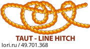 Yellow nautical rope knot, interweaving of ropes, cables, tapes or other flexible linear materials. Taut line hitch isolated on white. Household binding and fastening unit for permanent fastening. Taut line hitch isolated on white. Household binding and fastening unit for permanent fastening. Стоковая иллюстрация, агентство Ingram Publishing / Фотобанк Лори