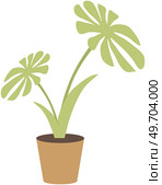 Houseplant, green sprout in clay pot. Plant for office arrangement and interior design isolated. Plastic container, sprig in ground. Bush with leaves and trunk. Potted plant for home decoration. Houseplant, green sprout in clay pot. Plant for office arrangement and interior design isolated. Стоковая иллюстрация, агентство Ingram Publishing / Фотобанк Лори