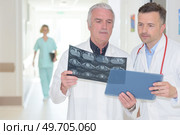 Male medics looking at xrays. Стоковое фото, агентство Ingram Publishing / Фотобанк Лори