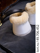 luxery hoof protectors with natural fur for sportive horses in complete with cover and halter. horse stuff and care. Стоковое фото, агентство Ingram Publishing / Фотобанк Лори