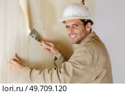male builder scrapping wall paper. Стоковое фото, агентство Ingram Publishing / Фотобанк Лори